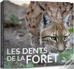 Capa do artigo Les Dents De La Foret