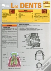 Capa do artigo Les Dents