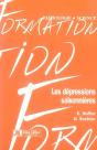 Les Dépressions Saisonnières - Preview