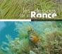 Les Dessous De La Rance - Benoit Poncelet Et Thomas Martin - Preview
