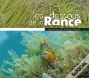 Capa do artigo Les Dessous De La Rance - Benoit Poncelet Et Thomas Martin