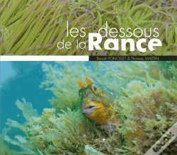 Capa do artigo Les Dessous De La Rance - Benoit Poncelet Et Thomas Martin