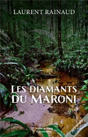 Capa do artigo Les Diamants Du Maroni