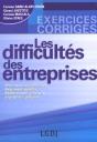 Les Difficultes Des Entreprises - Preview