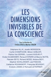 Capa do artigo Les Dimensions Invisibles De La Conscience