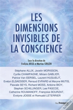 Capa do artigo Les Dimensions Invisibles De La Conscience