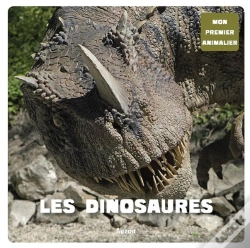 Capa do artigo Les Dinosaures