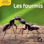 Les Docs Ribambelle Cycle 2 Edition 2014 - Les Fourmis - Preview