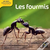 Capa do artigo Les Docs Ribambelle Cycle 2 Edition 2014 - Les Fourmis