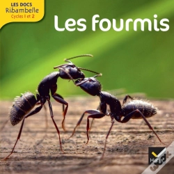 Capa do artigo Les Docs Ribambelle Cycle 2 Edition 2014 - Les Fourmis