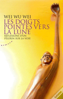 Capa do artigo Les Doigts Pointés Vers La Lune ; Réflexions D'Un Pélerin Sur La Voie