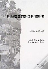 Les Droits De Propriété Intellectuelle ; Guide Pratique