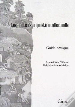 Capa do artigo Les Droits De Propriété Intellectuelle ; Guide Pratique