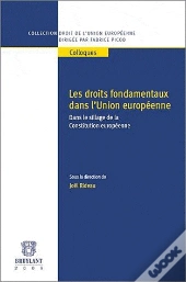 Les Droits Fondamentaux Dans L'Union Européenne ; Dans Le Sillage De La Constitution Européenne