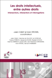 Les Droits Intellectuels, Entre Autres Droits : Intersections, Interactions Et Interrogations