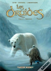 Capa do artigo Les Druides Tome 6 : Crépuscule