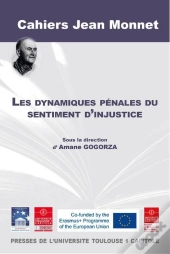 Les Dynamiques Penales Du Sentiment D'Injustice - Vol13