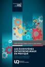 Les Écosystèmes Entrepreneuriaux En Pratique - Preview