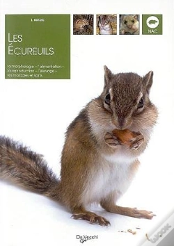 Capa do artigo Les Ecureuils