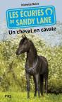 Les Ecuries De Sandy Lane - Numero 7 Un Cheval En  Cavale - Preview