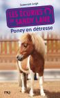 Les Ecuries De Sandy Lane T.2 Poney En Detresse - Preview