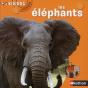Les Elephants - Preview