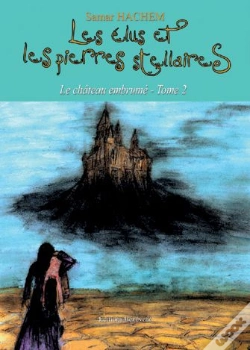 Capa do artigo Les Élus Et Les Pierres Stellaires ; Le Château Embrumé T.2