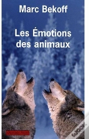 Capa do artigo Les Émotions Des Animaux