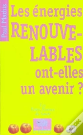 Les Energies Renouvelables Ont-Elles Un Avenir ?