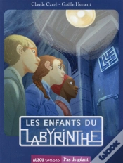 Capa do artigo Les Enfants Du Labyrinthe (Coll. Pas De Geant)