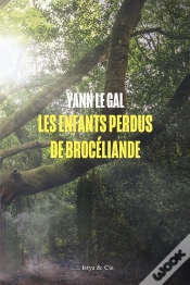 Capa do artigo Les Enfants Perdus De Brocéliande