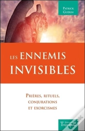 Capa do artigo Les Ennemis Invisibles