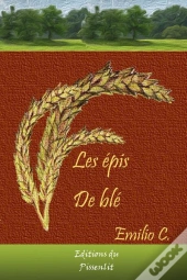 Les Épis De Blé