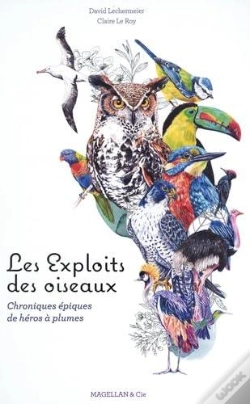 Capa do artigo Les Exploits Des Oiseaux : Chroniques Épiques De Héros À Plumes