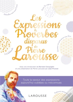 Capa do artigo Les Expressions & Proverbes Disparus De Pierre Larousse