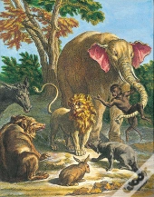 Les Fables De La Fontaine Illustrées Par J.B.Oudry
