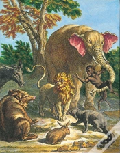 Capa do artigo Les Fables De La Fontaine Illustrées Par J.B.Oudry