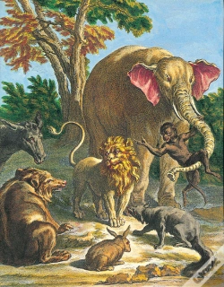 Capa do artigo Les Fables De La Fontaine Illustrées Par J.B.Oudry