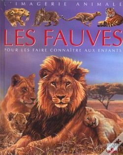 Capa do artigo Les Fauves