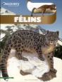 Les Felins - Preview