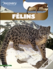 Les Felins