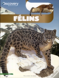 Capa do artigo Les Felins