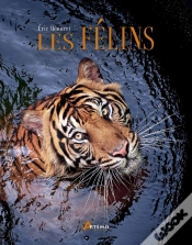 Capa do artigo Les Félins