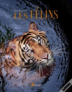 Capa do artigo Les Félins