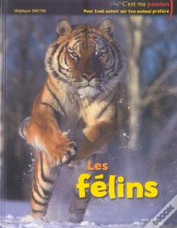 Capa do artigo Les Félins