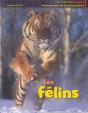 Les Félins - Preview
