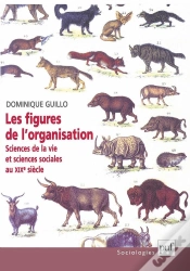 Capa do artigo Les Figures De L