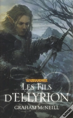 Capa do artigo Les Fils D'Ellyrion T.2