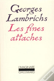 Capa do artigo Les Fines Attaches