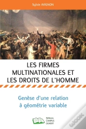 Capa do artigo Les Firmes Multinationales Et Les Droits De L